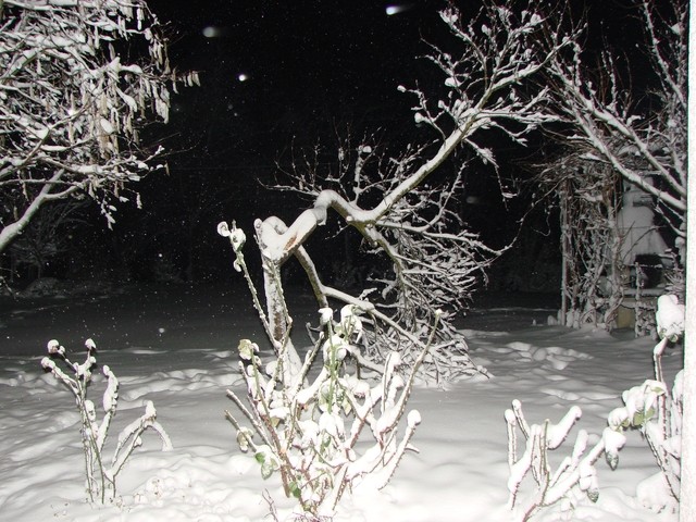 slomljena breskva